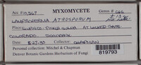 Image Associated With the Occurence